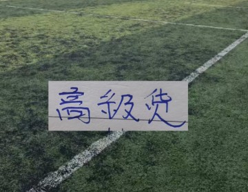 星空体育-中超前15轮 各队代表球星！大连马莱莱打出身价